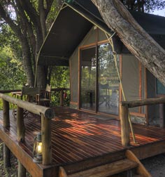 Camp Okavango Botswana Safaris